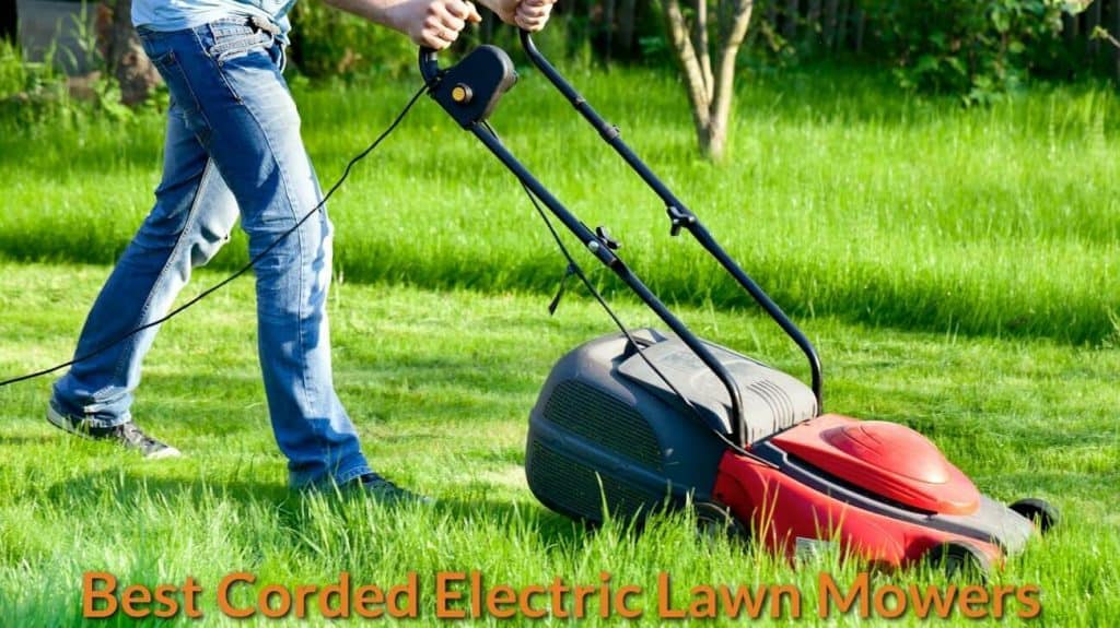 Drive Mowers And Driving https://lawncaregarden.com/best-pre-emergent-crabgrass-preventer/ Mowers In Expert Equipment