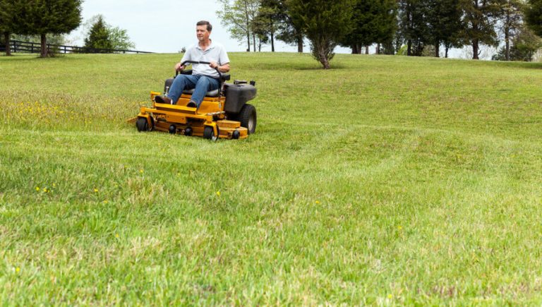 Best Zero Turn Mower Revolutionizing Lawn Care